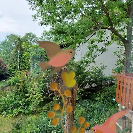 Erdőszéli Apartman *