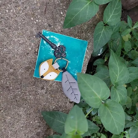 Erdoszeli Vendeghaz 아파트 Zebegény