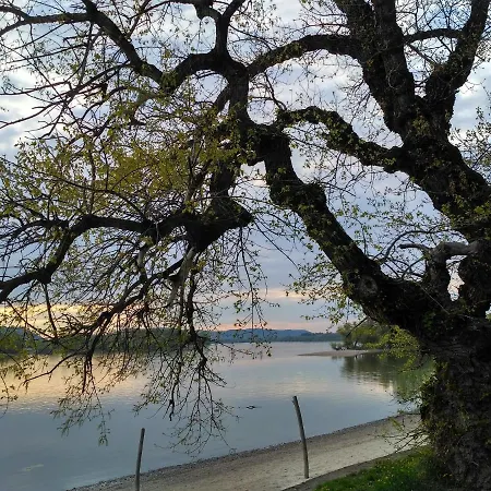 Erdőszéli