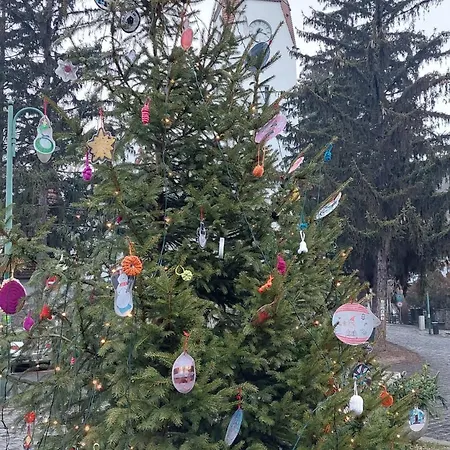 Lejlighed Erdoszeli Vendeghaz *